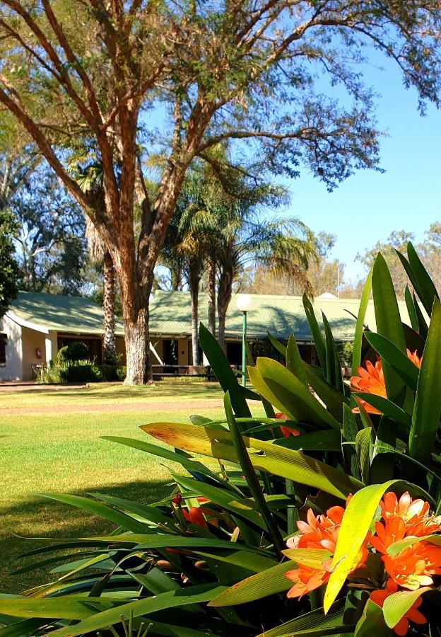 Haggards On Hilldrop Bed & Breakfast Newcastle Exterior photo